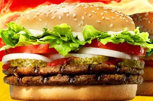 哆哆基 引领养生新风尚，快餐行业的健康革命者